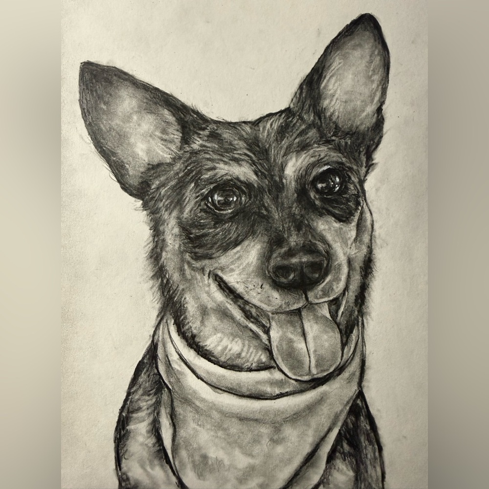 Pet Portrait Drawing custom artwork 9”x12” artwork w/ your photo